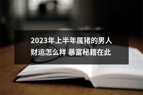 2025年上半年属猪的男人财运怎么样暴富秘籍在此