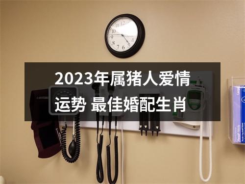 2025年属猪人爱情运势佳婚配生肖