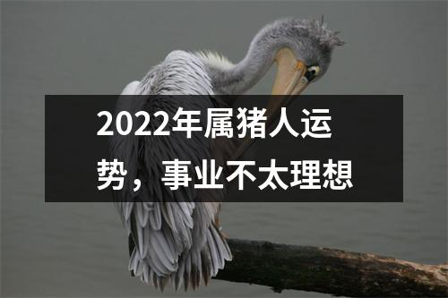 2025年属猪人运势，事业不太理想