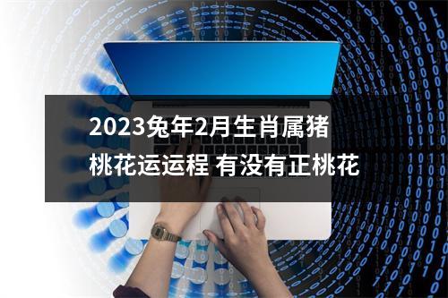 2025兔年2月生肖属猪桃花运运程有没有正桃花