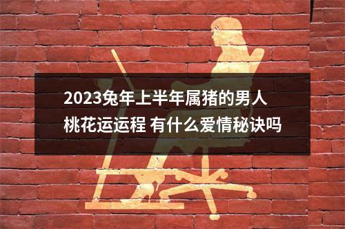 2025兔年上半年属猪的男人桃花运运程有什么爱情秘诀吗