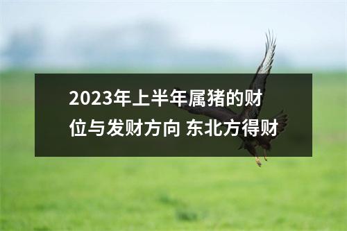 2025年上半年属猪的财位与发财方向东北方得财