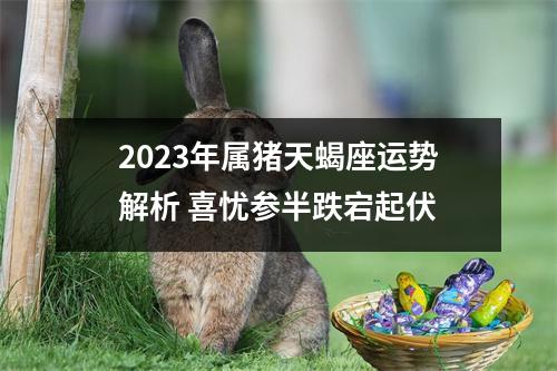 2025年属猪天蝎座运势解析喜忧参半跌宕起伏