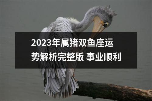 2025年属猪双鱼座运势解析完整版事业顺利