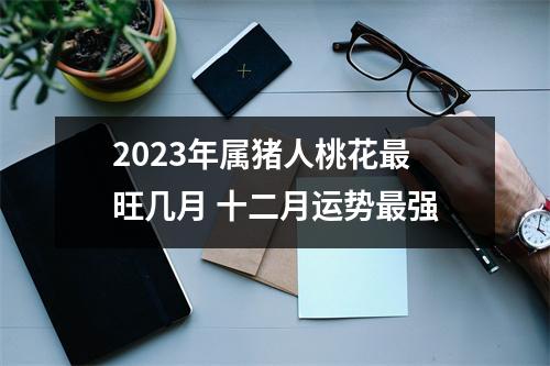 2025年属猪人桃花旺几月十二月运势强