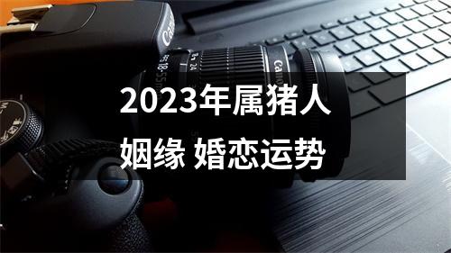 2025年属猪人姻缘婚恋运势