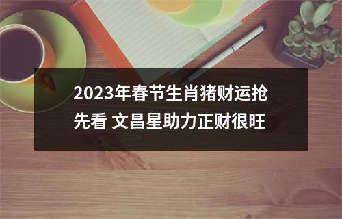 2025年春节生肖猪财运抢先看文昌星助力正财很旺