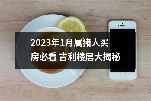 2025年1月属猪人买房必看吉利楼层大揭秘
