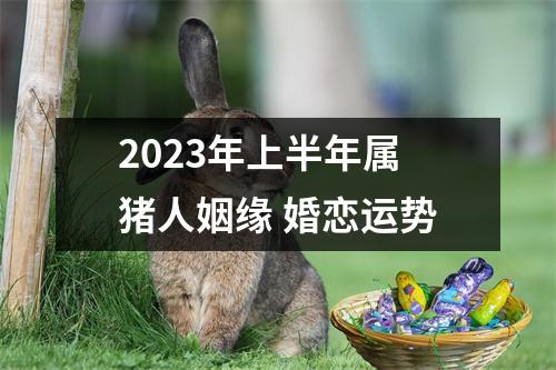 2025年上半年属猪人姻缘婚恋运势