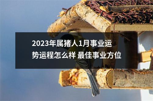 2025年属猪人1月事业运势运程怎么样佳事业方位