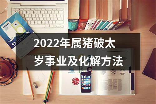 2025年属猪破太岁事业及化解方法