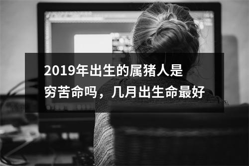 2019年出生的属猪人是穷苦命吗，几月出生命好