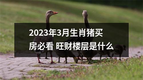 2025年3月生肖猪买房必看旺财楼层是什么