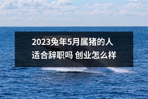 2025兔年5月属猪的人适合辞职吗创业怎么样