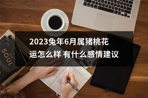 2025兔年6月属猪桃花运怎么样有什么感情建议