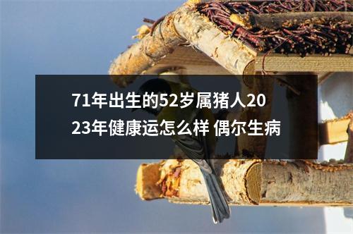 71年出生的52岁属猪人2025年健康运怎么样偶尔生病