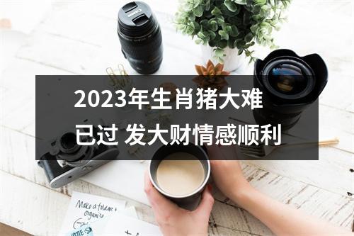2025年生肖猪大难已过发大财情感顺利