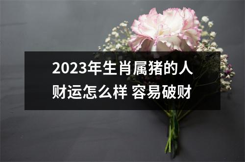 2025年生肖属猪的人财运怎么样容易破财