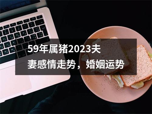 59年属猪2025夫妻感情走势，婚姻运势