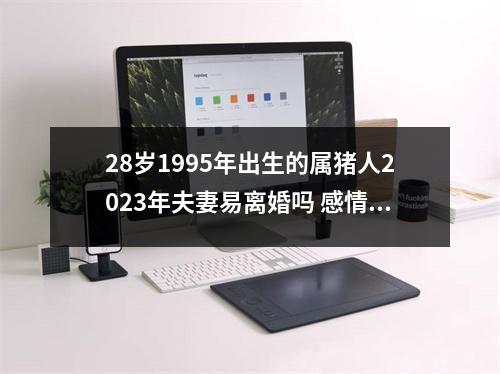 28岁1995年出生的属猪人2025年夫妻易离婚吗感情稳定婚姻幸福