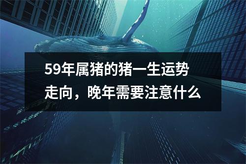59年属猪的猪一生运势走向，晚年需要注意什么
