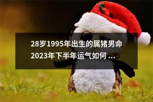 28岁1995年出生的属猪男命2025年下半年运气如何运势详解