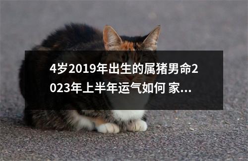 4岁2019年出生的属猪男命2025年上半年运气如何家长要细心照顾