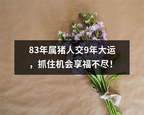 83年属猪人交9年大运，抓住机会享福不尽！