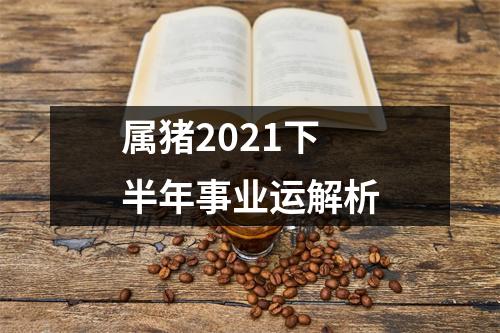 属猪2025下半年事业运解析