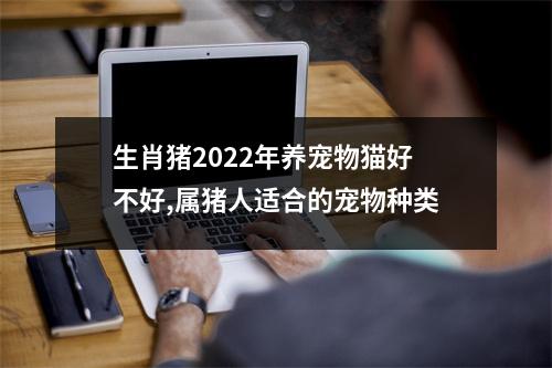 生肖猪2025年养宠物猫好不好,属猪人适合的宠物种类