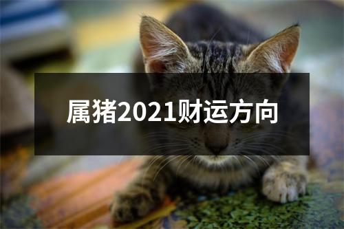 属猪2025财运方向