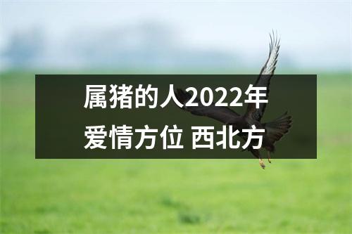 属猪的人2025年爱情方位西北方