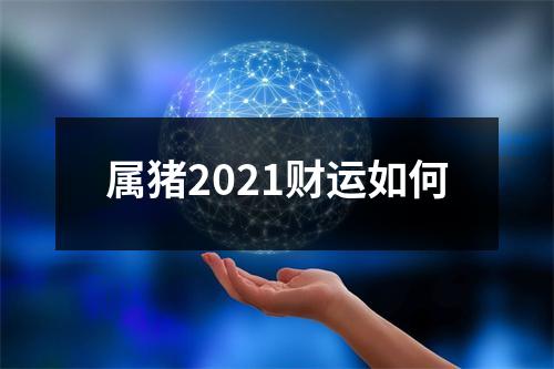 属猪2025财运如何