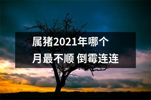 属猪2025年哪个月不顺倒霉连连