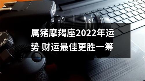 属猪摩羯座2025年运势财运佳更胜一筹