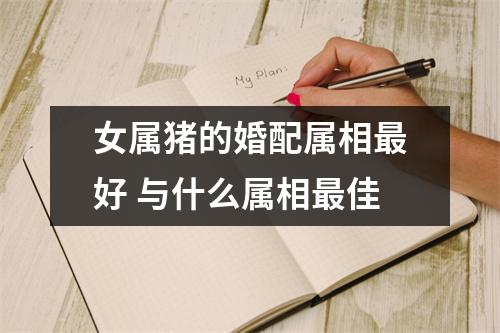 女属猪的婚配属相好与什么属相佳