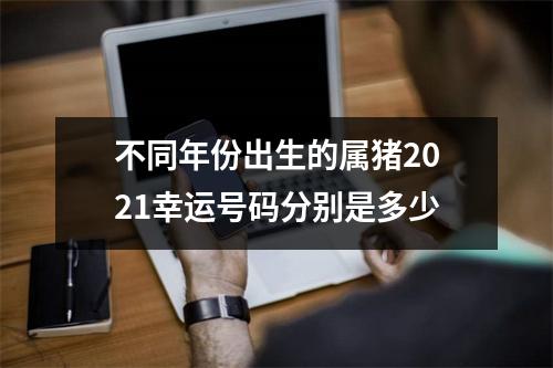 <h3>不同年份出生的属猪2025幸运号码分别是多少