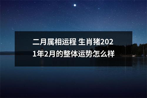 二月属相运程生肖猪2025年2月的整体运势怎么样