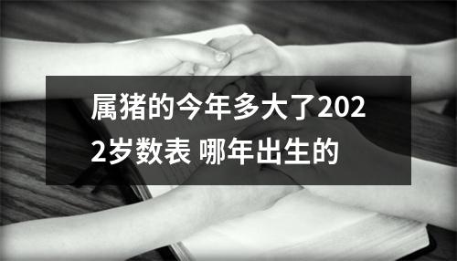 属猪的今年多大了2025岁数表哪年出生的