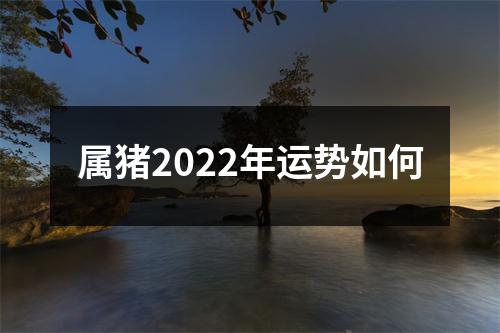 <h3>属猪2025年运势如何