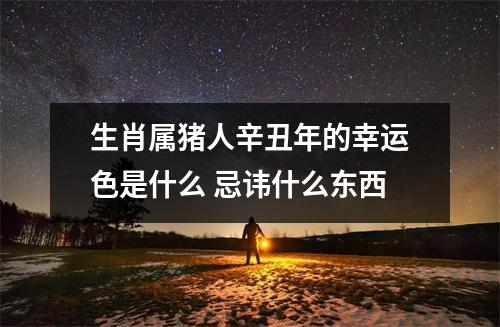 生肖属猪人辛丑年的幸运色是什么忌讳什么东西