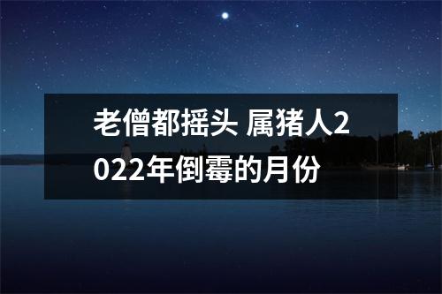 老僧都摇头属猪人2025年倒霉的月份