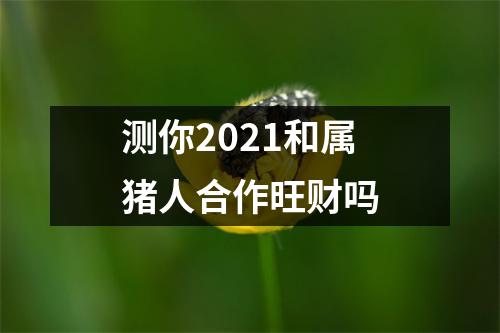 测你2025和属猪人合作旺财吗