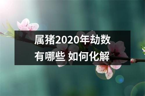 属猪2025年劫数有哪些如何化解