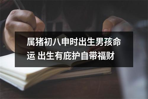 属猪初八申时出生男孩命运出生有庇护自带福财