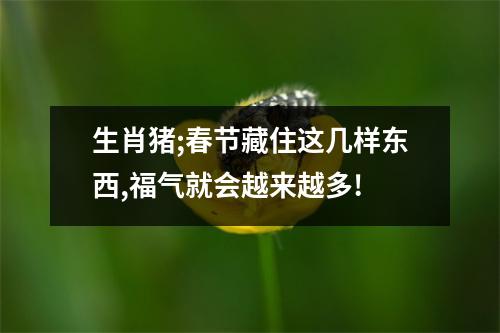 生肖猪;春节藏住这几样东西,福气就会越来越多!
