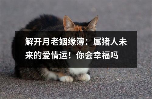 解开月老姻缘簿：属猪人未来的爱情运！你会幸福吗