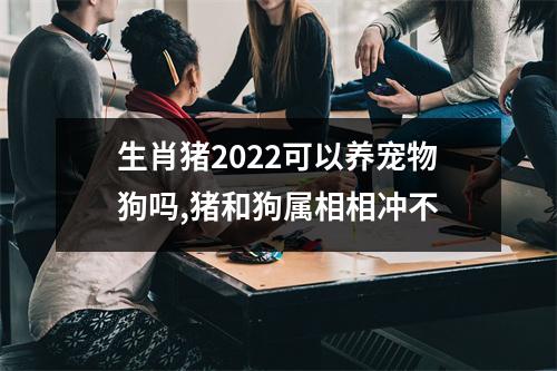生肖猪2025可以养宠物狗吗,猪和狗属相相冲不