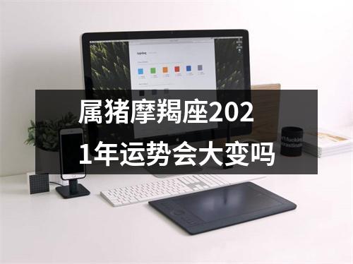 属猪摩羯座2025年运势会大变吗