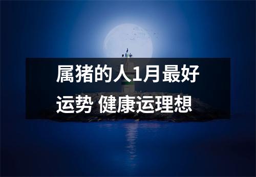 属猪的人1月好运势健康运理想